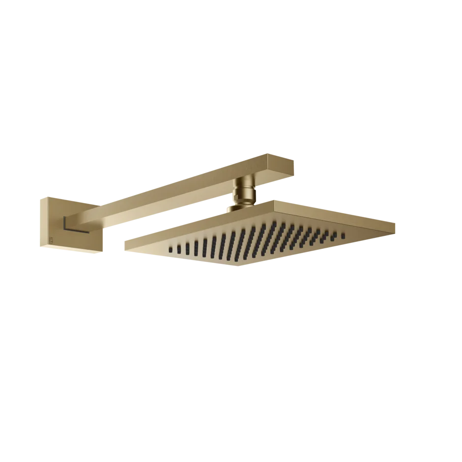 20148 - Верхний душ