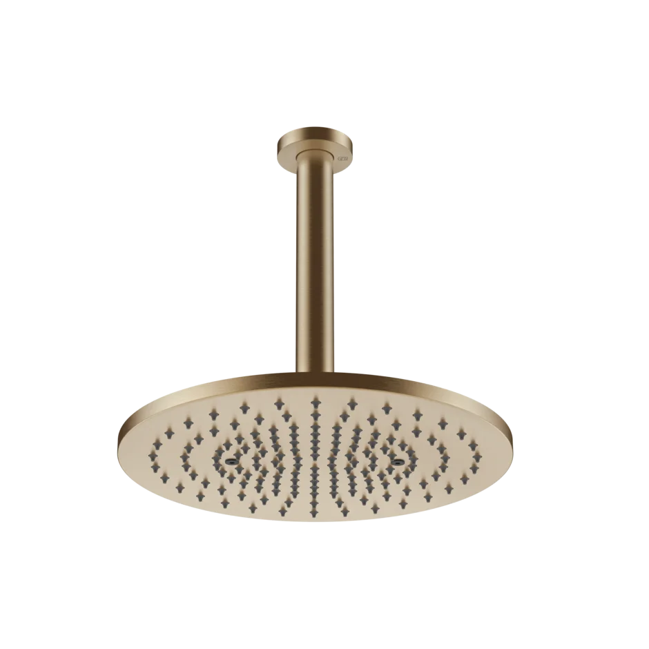 54147 - Верхний душ