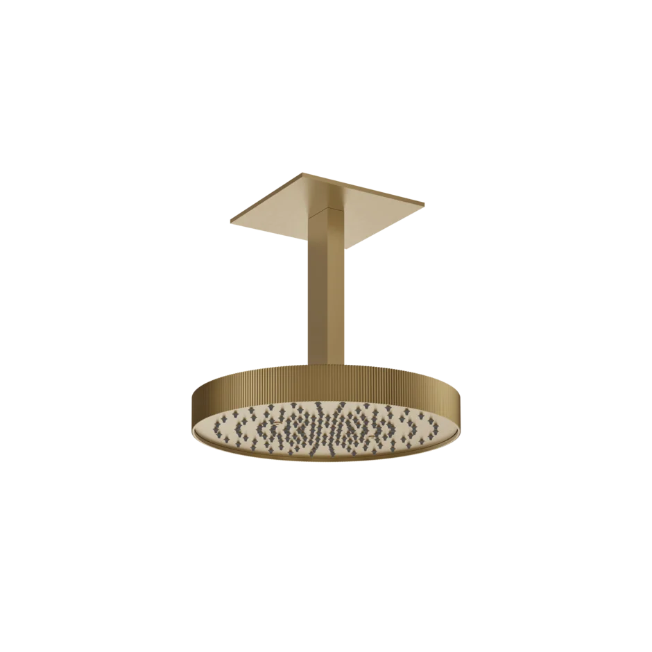 63572 - Верхний душ