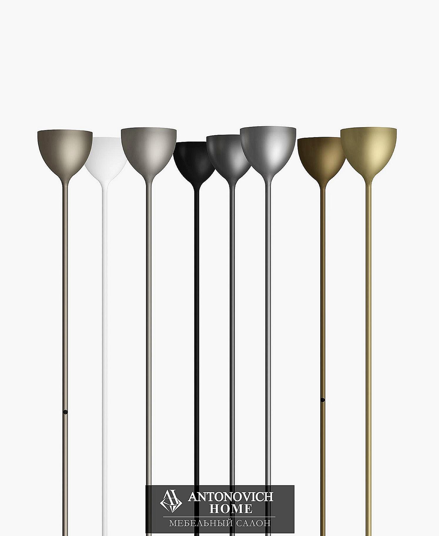 Rotaliana__55_result